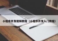 小程序开发视频教程（小程序开发入门教程）